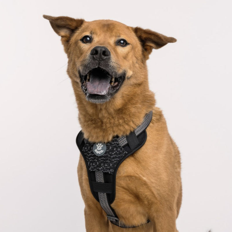 DOCO® Vario Chest Plate Dog Harness with Neoprene