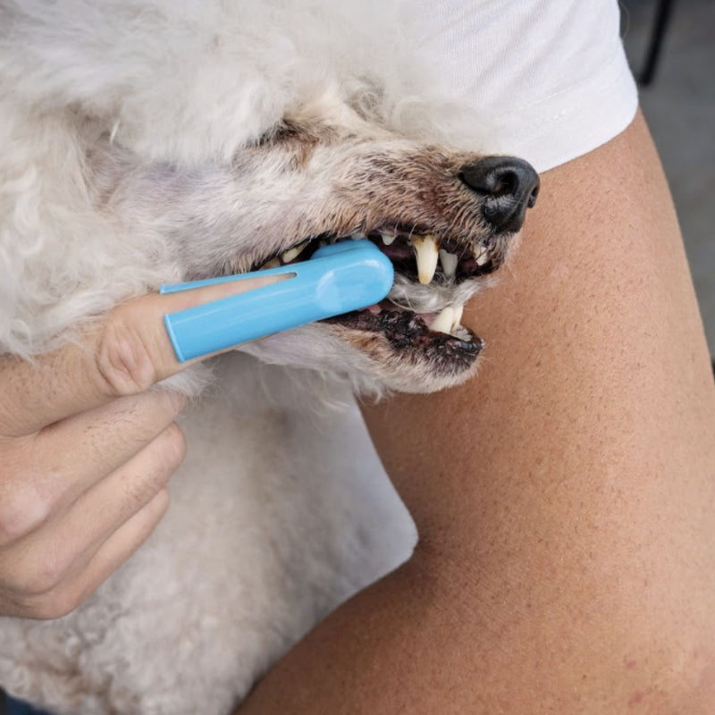 Zugo® Finger Toothbrush