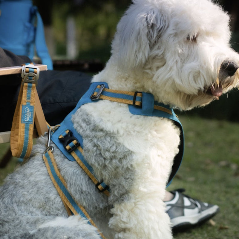 DOCO® Vertex Reflective Ultralight Mesh Dog Harness