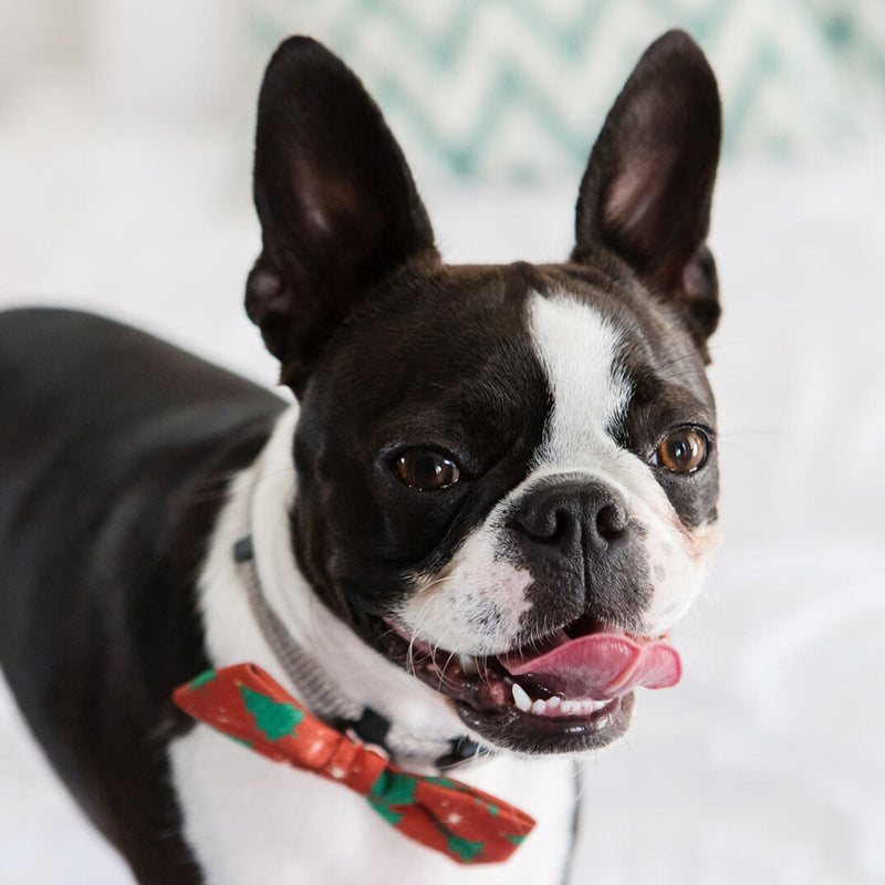 Dog’s Life Bow Tie – Christmas Trees Red