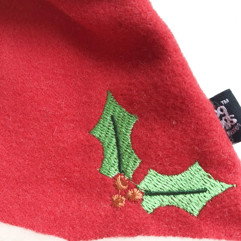 Dog Days Christmas Santa Hat
