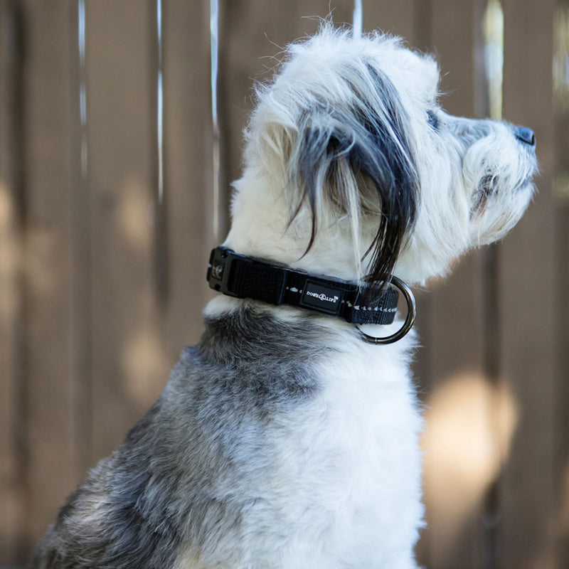 Reflective Supersoft Webbing Neoprene Collar