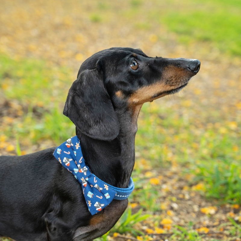 Dog’s Life Bow Tie – Christmas Frenchie Navy