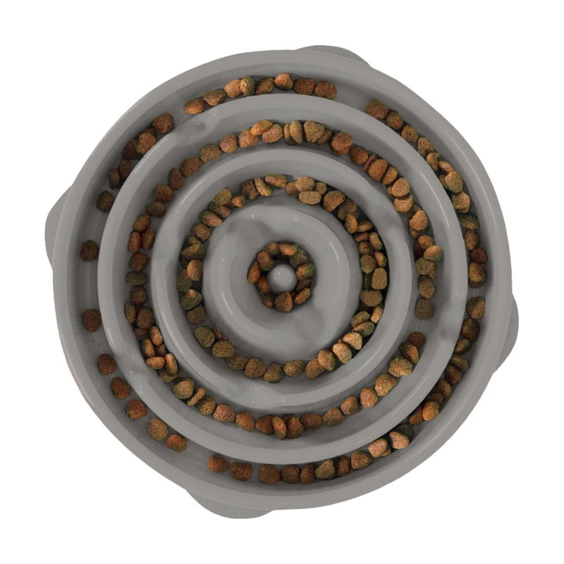 Outward Hound Fun Feeder Slow Feeder Dog Bowl