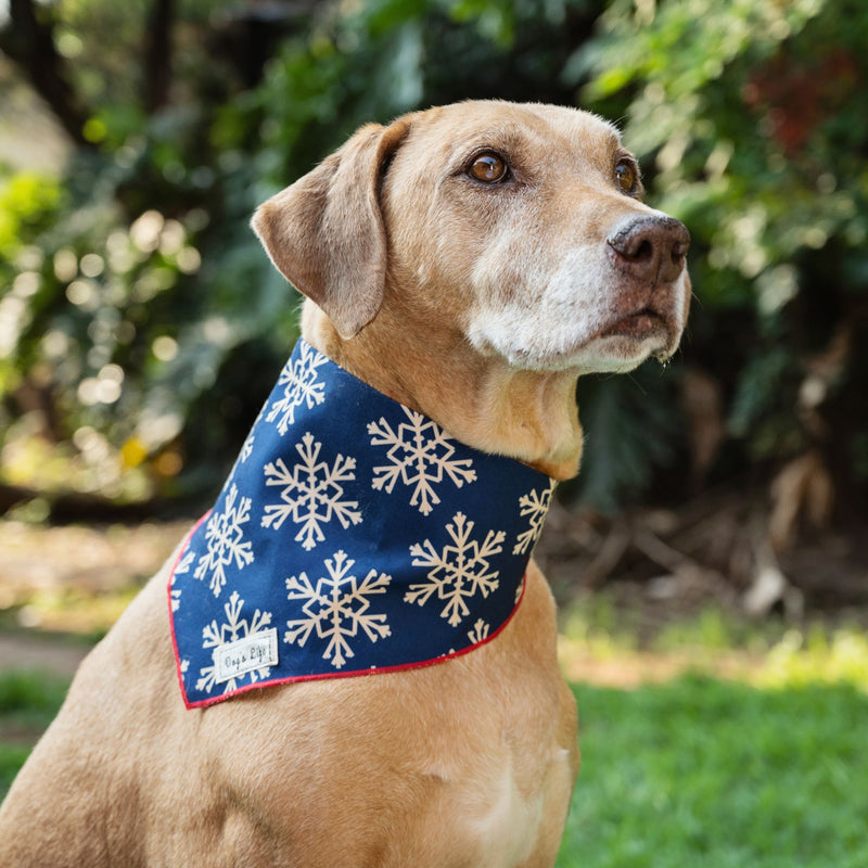 Dog’s Life Bandana – Christmas Snowflakes Navy