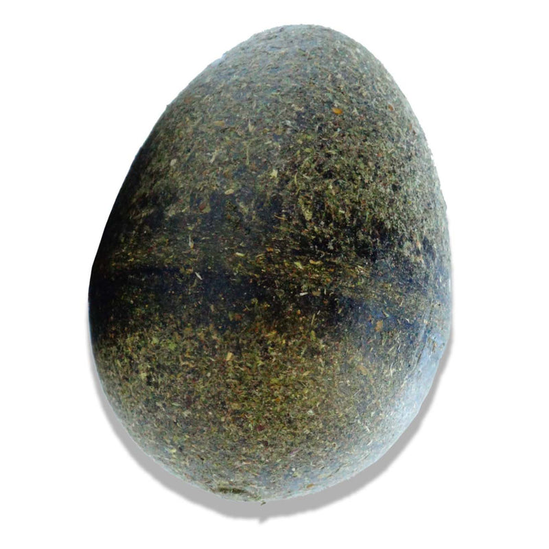 Pawbreakers Catpurry Egg Natural Catnip Toy & Treat for Cats