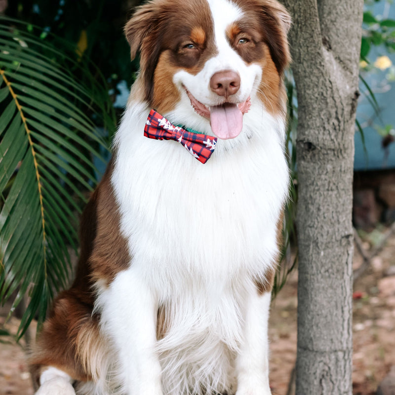 Dog’s Life Bow Tie – Plaid & Trees Red
