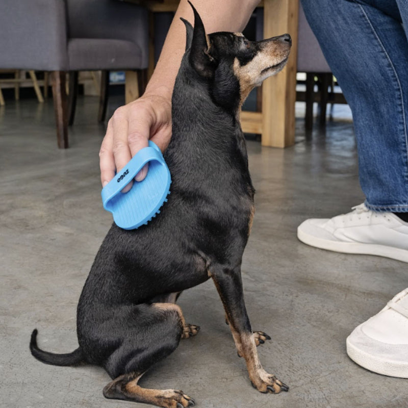 Zugo® Massage Brush