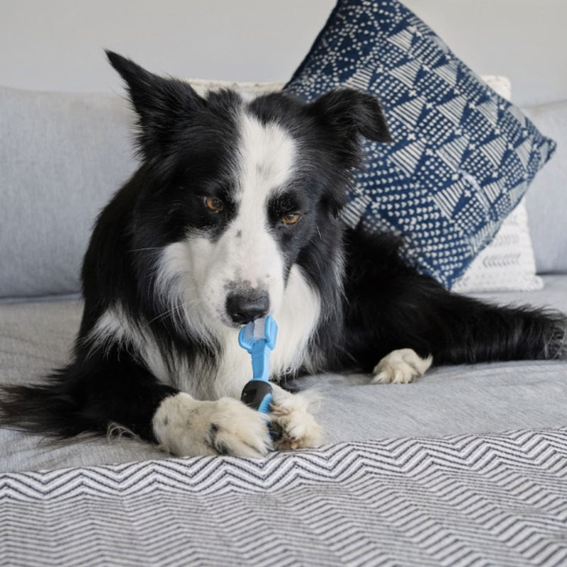 Zugo® 3-Sided Toothbrush