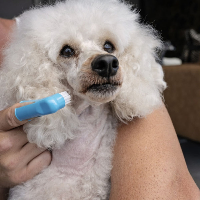 Zugo® Finger Toothbrush