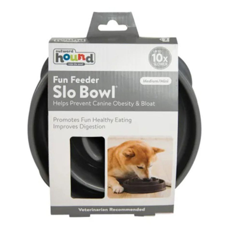 Outward Hound Fun Feeder Slow Feeder Dog Bowl