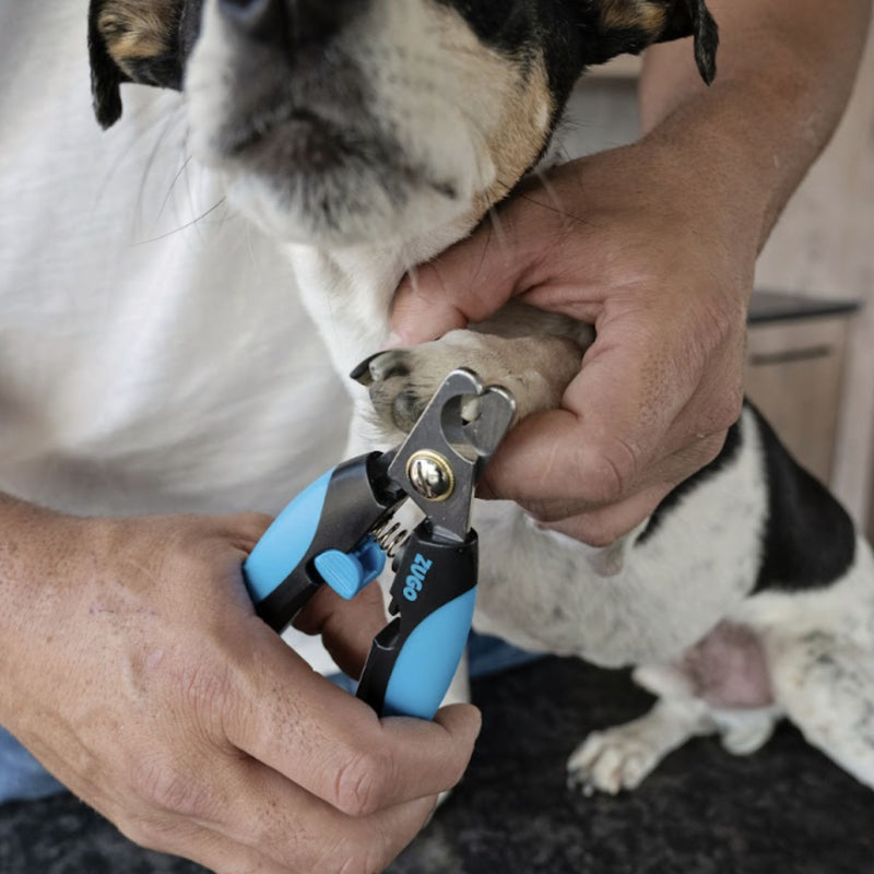 Zugo® Clipper Large with LED