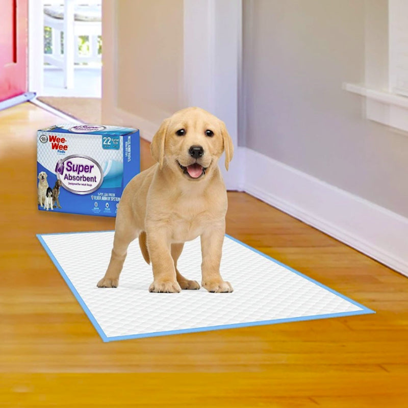 Wee-Wee Super Absorbent Dog Training Pads 22 Pack 60x60cm