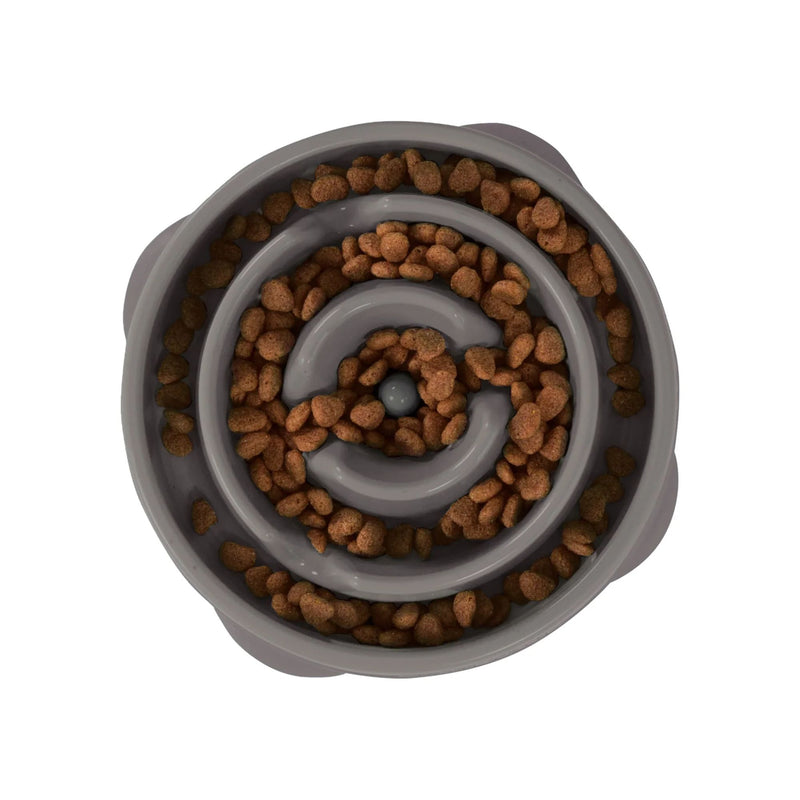 Outward Hound Fun Feeder Slow Feeder Dog Bowl