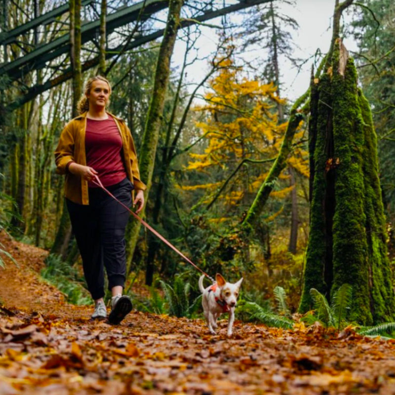 Ruffwear Hi & Light Lightweight Dog Leash