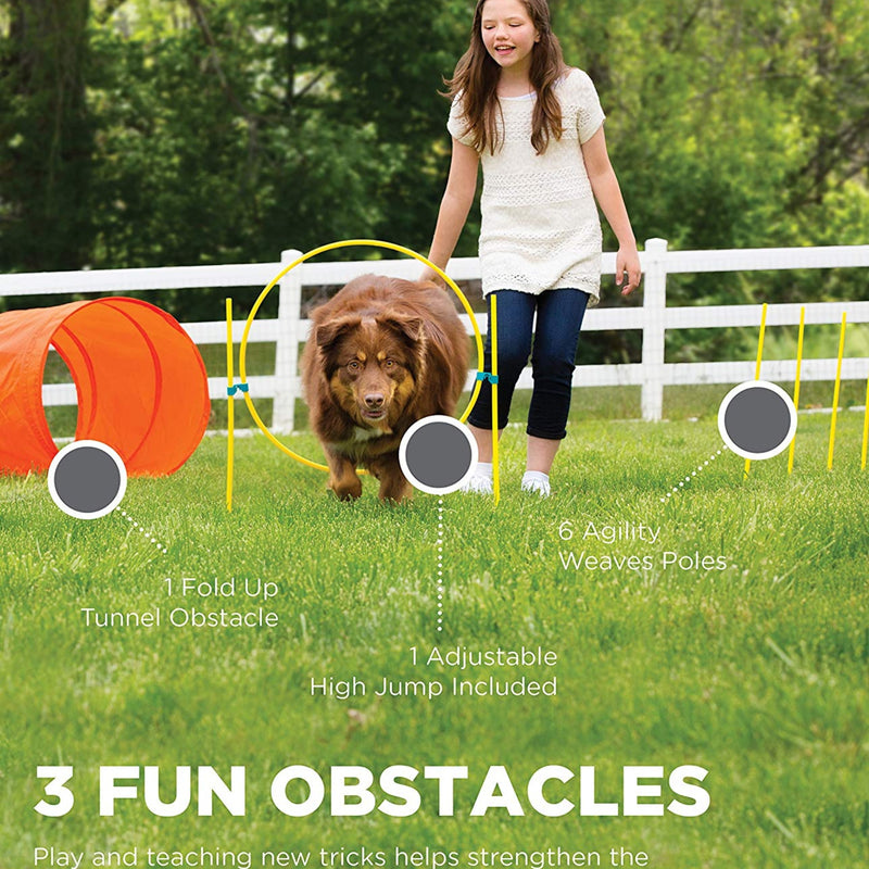 Outward Hound Zip & Zoom Outdoor Agility Kit