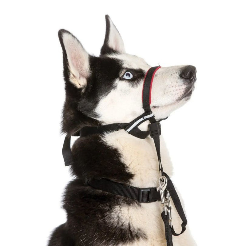 Halti OptiFit Adjustable Head Collar