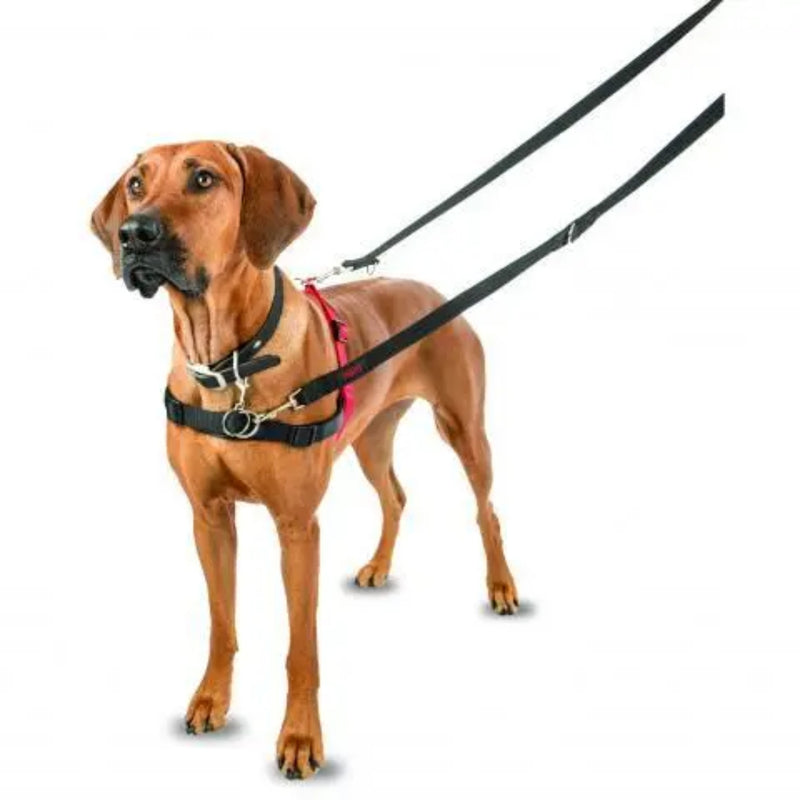 Company of Animals Halti Front Control No-Pull Training Harness