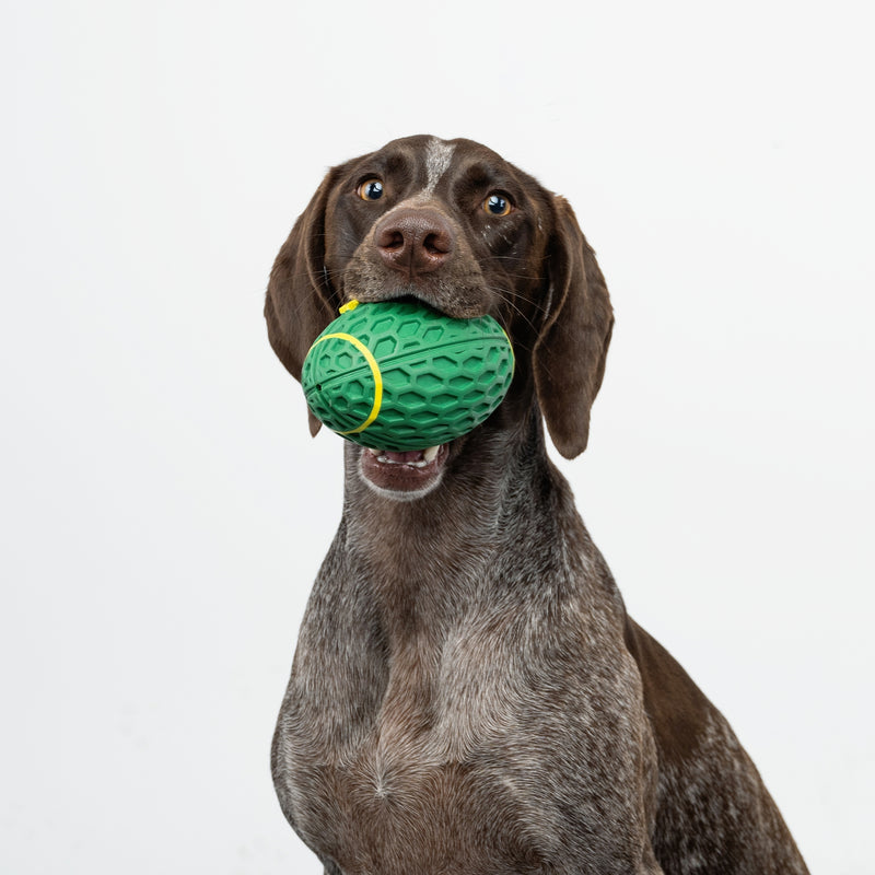 Zugo Rugby Interactive Squeaky Ball Natural Rubber Dog Toy