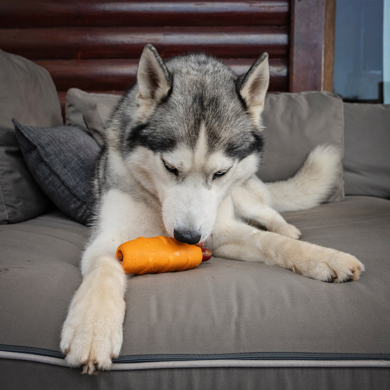 Zugo Hot Doggy Rubber Toy – Treat-Dispensing Interactive Chew Toy