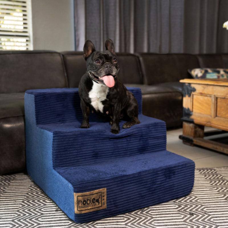 The Step Up Dog Stairs