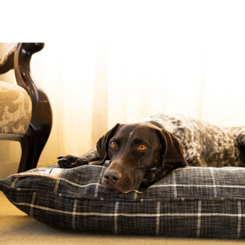 The Canine Cloud Orthopedic Outdoor Dog Bed