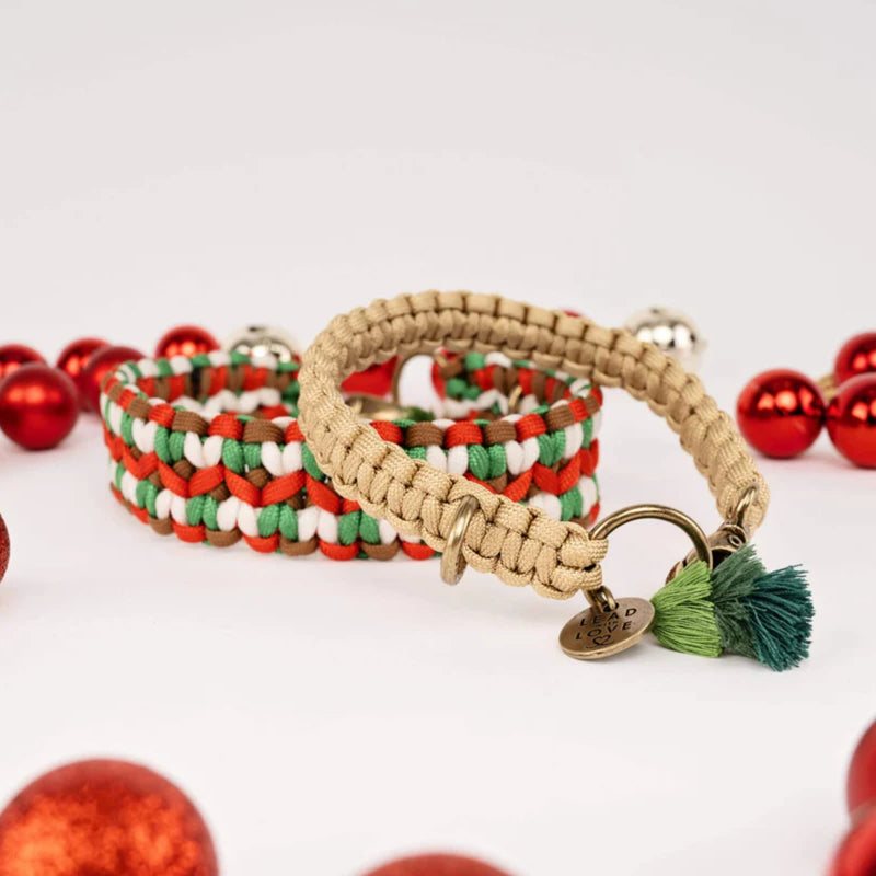 Lead with Love Dogmas Classic Dog Collar