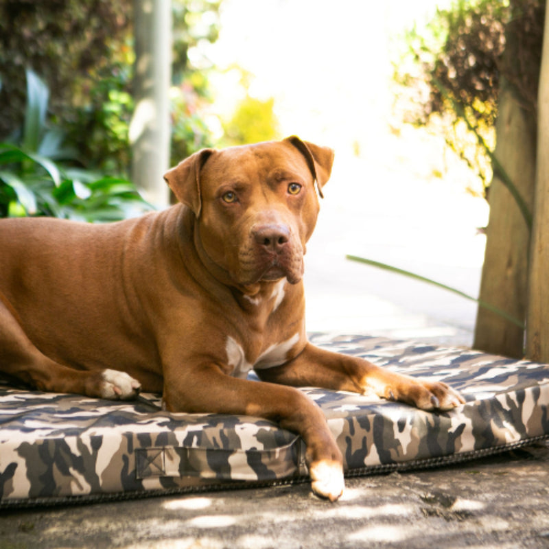 The Wild Napper Outdoor Orthopaedic Dog Bed