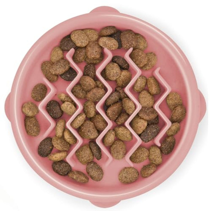 Outward Hound Fun Feeder Tiny Slow Feeder Dog Bowl