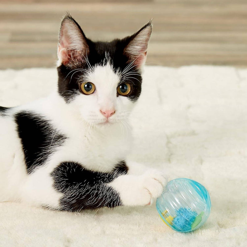 JW Cataction Fish Ball Cat Toy