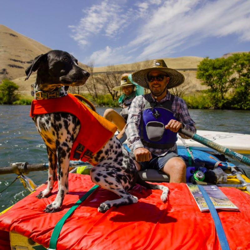 Ruffwear Float Coat™ Dog Life Jacket