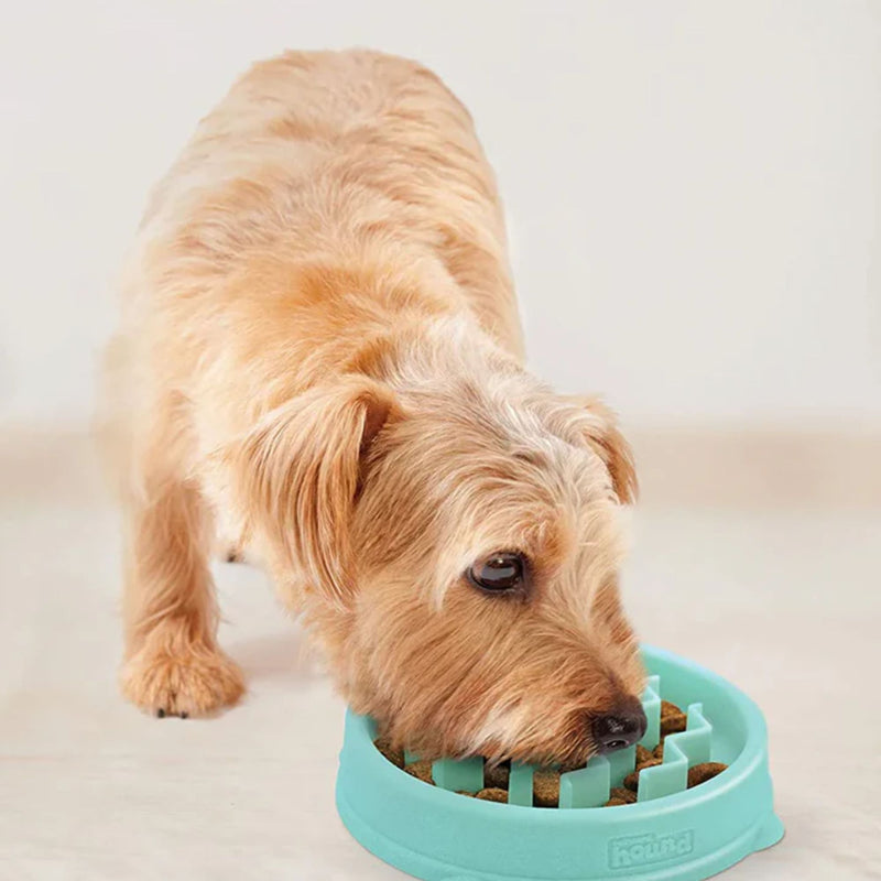 Outward Hound Fun Feeder Tiny Slow Feeder Dog Bowl