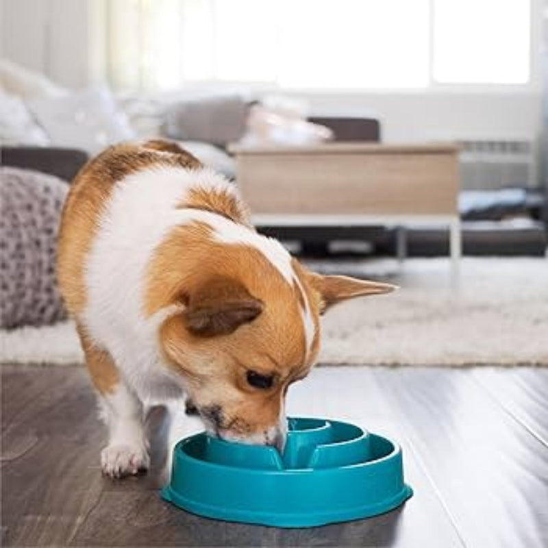 Outward Hound Fun Feeder Slow Feeder Dog Bowl