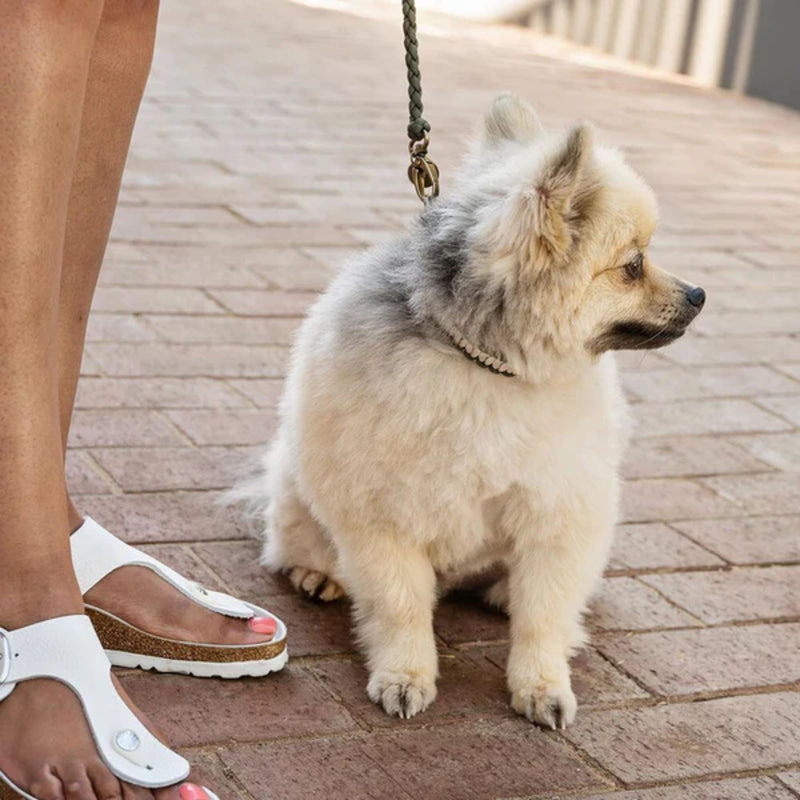 Lead with Love Classic Mini Dog Lead