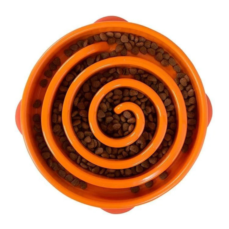 Outward Hound Fun Feeder Slow Feeder Dog Bowl