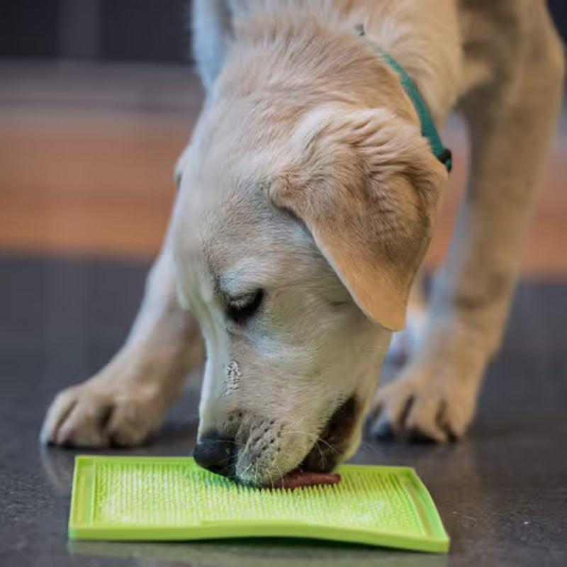 LickiMat® Classic Soother – Calming Slow Feeder