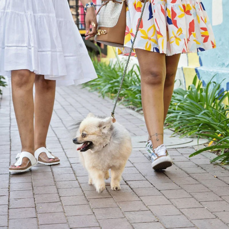 Lead with Love Classic Mini Dog Lead