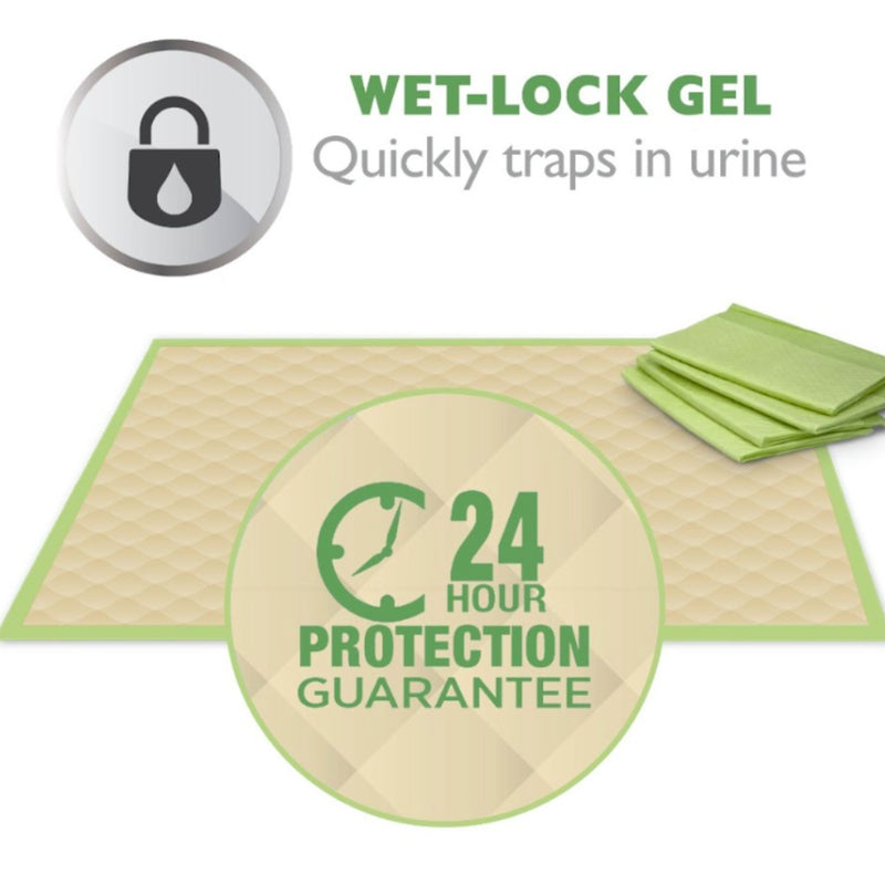 Wee-Wee Eco Dog Training Pad - 50 pack
