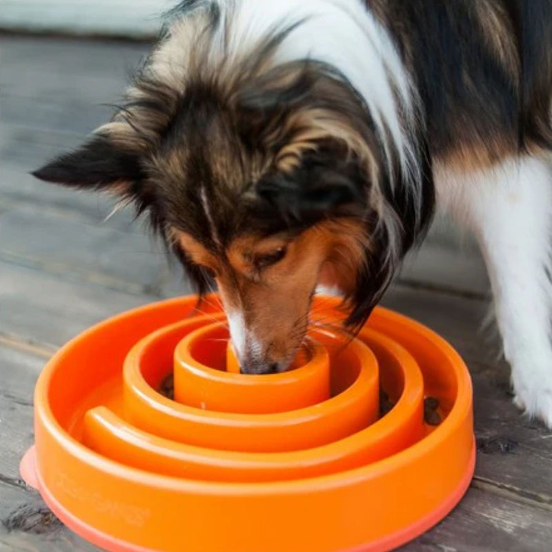 Outward Hound Fun Feeder Slow Feeder Dog Bowl