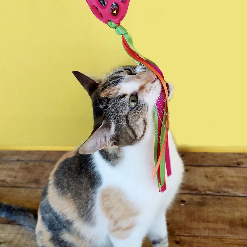 JW Cataction Football Cat Toy with Streamers