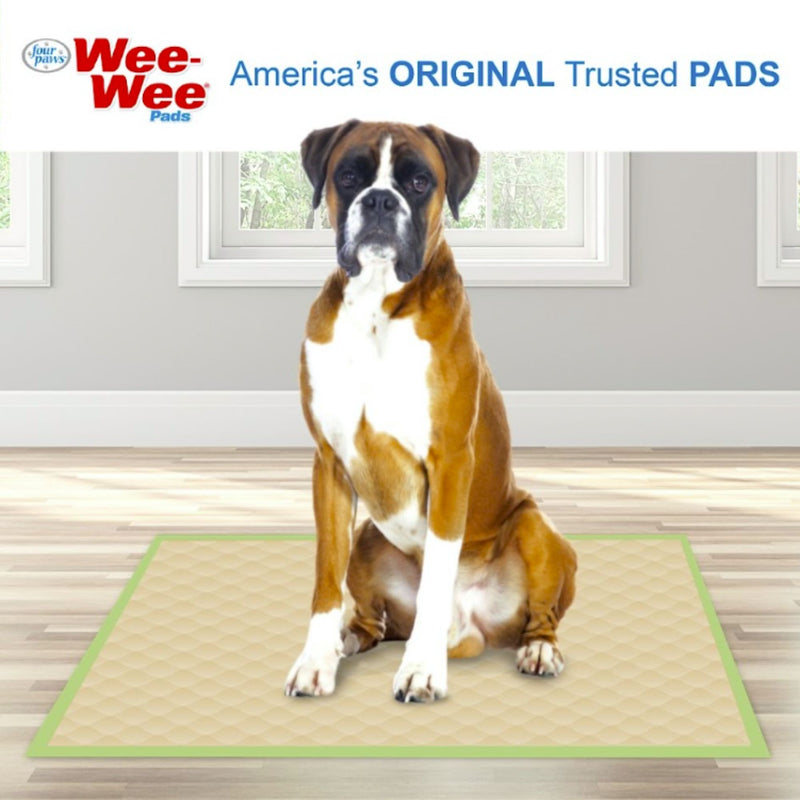 Wee-Wee Eco Dog Training Pad - 50 pack