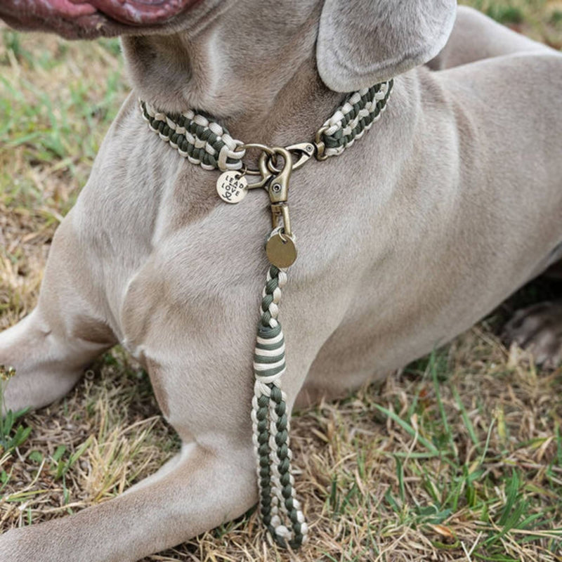 Lead with Love Short Dog Lead