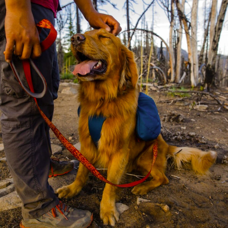 Ruffwear Front Range Day Pack