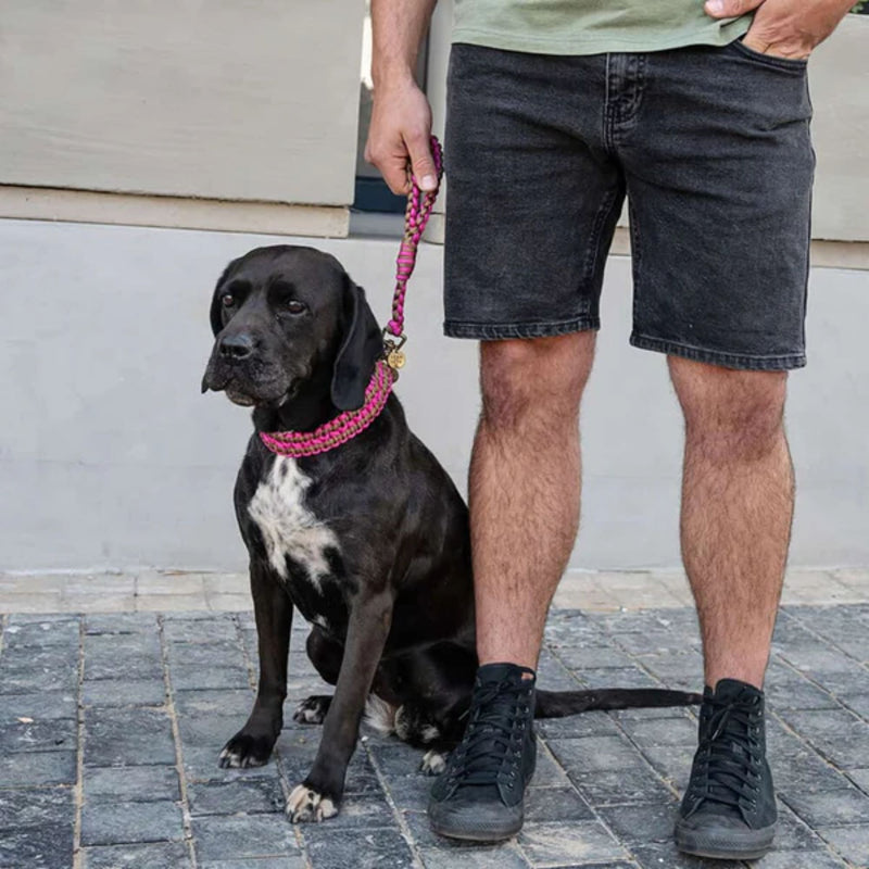 Lead with Love Short Dog Lead