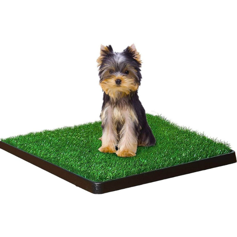 Wee-Wee Patch Indoor Pet Potty – Realistic Grass Tray for Indoor & Outdoor Training