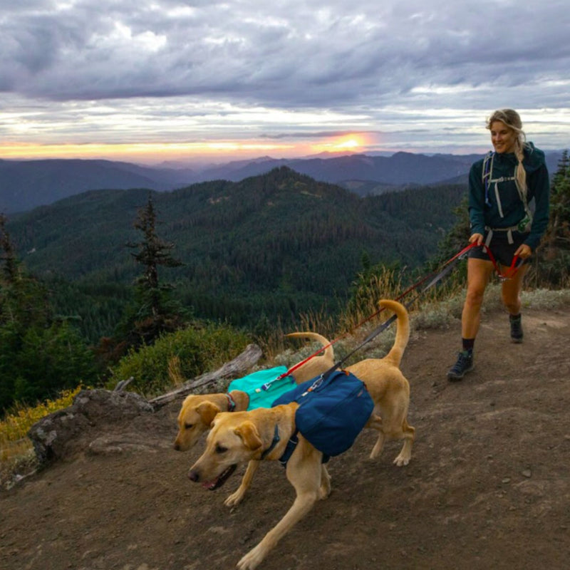 Ruffwear Front Range Day Pack