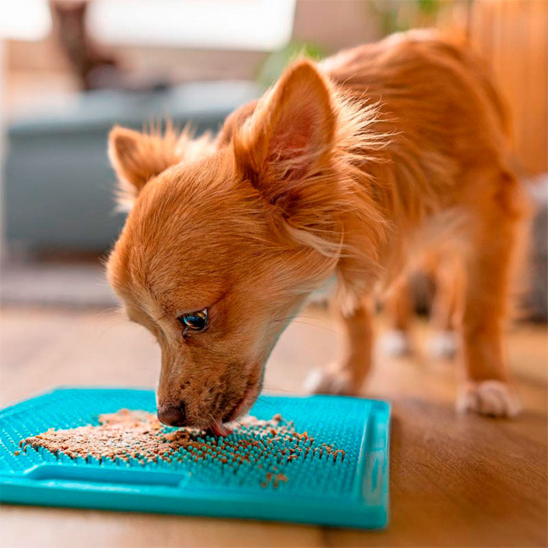 LickiMat® Classic Soother – Calming Slow Feeder