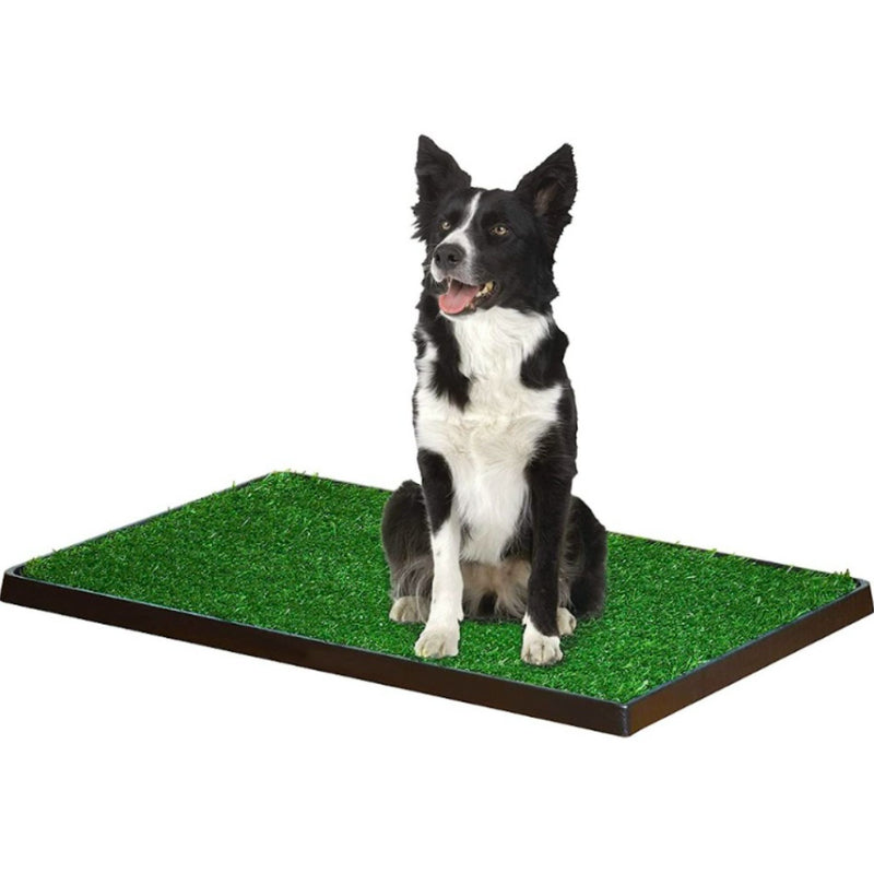 Wee-Wee Patch Indoor Pet Potty – Realistic Grass Tray for Indoor & Outdoor Training