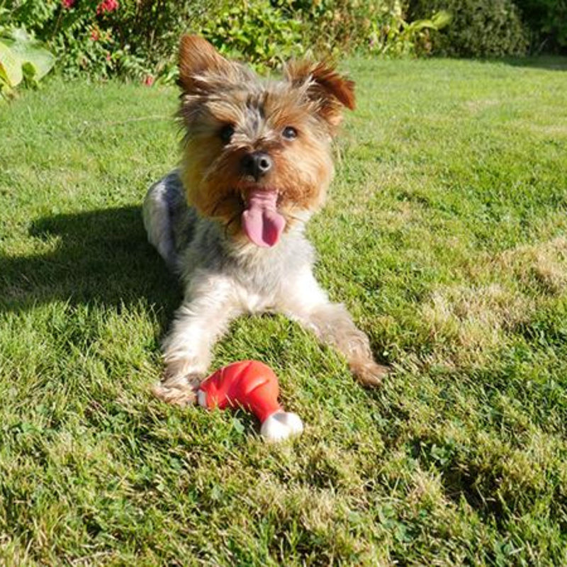 Rosewood Meaty Chicken Takeaway Leg