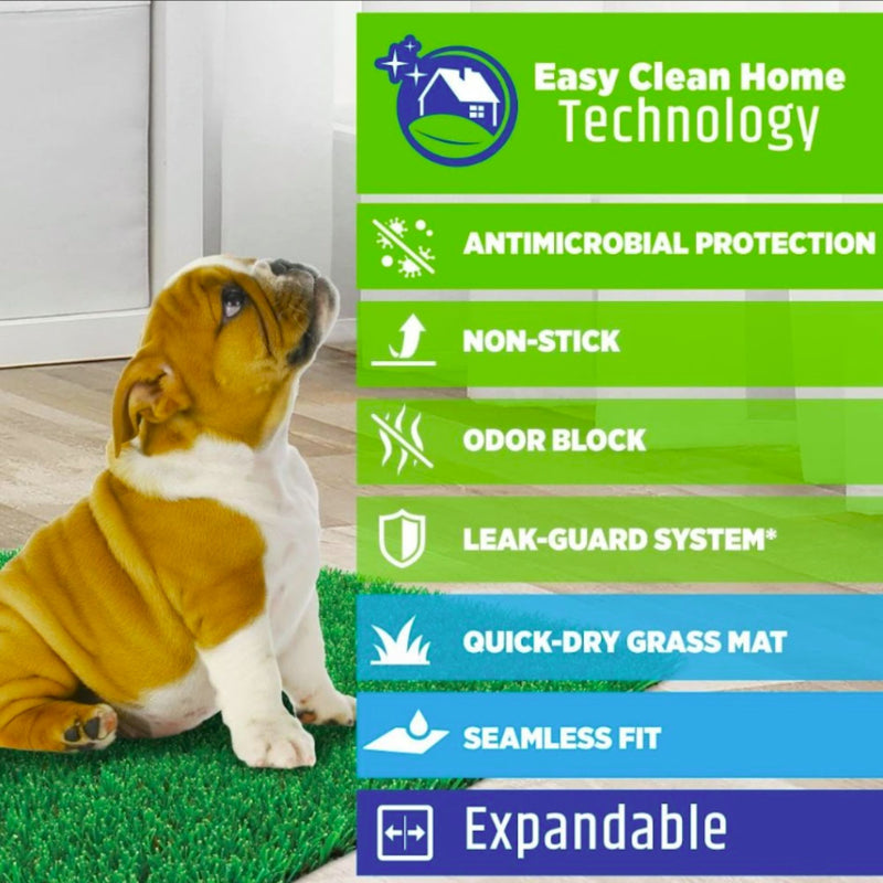 Wee-Wee Premium Patch Pet Potty – Indoor/Outdoor